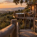 Hébergement insolite Montpellier : cabane perchée avec jacuzzi et terrasse